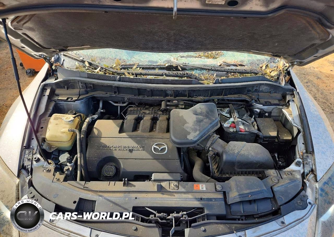2014 Mazda Cx-9 Grand Touring VIN:JM3TB3DV3E0443756 - 12