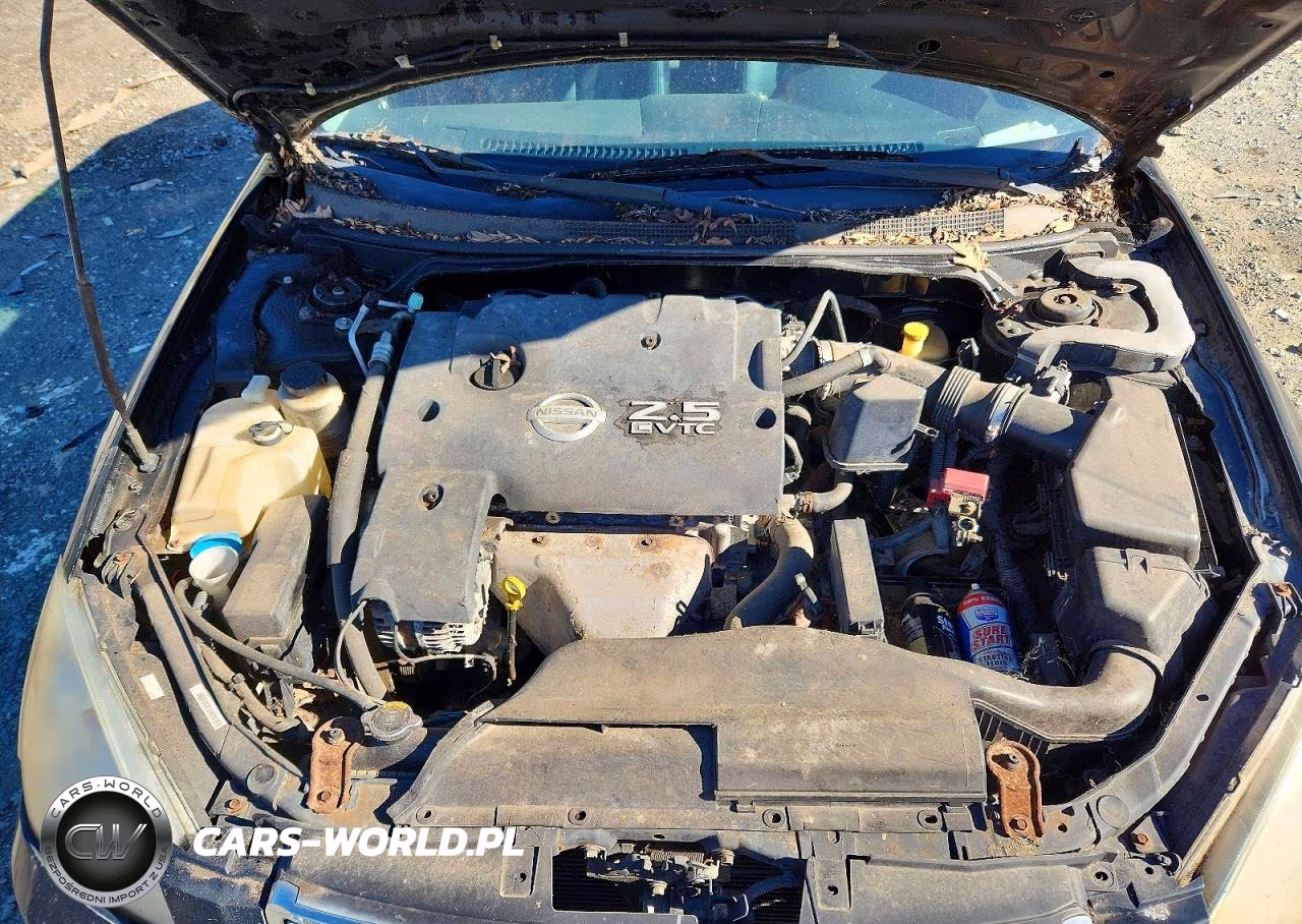 2003 Nissan Altima 2.5 VIN:1N4AL11D43C319039 - 11