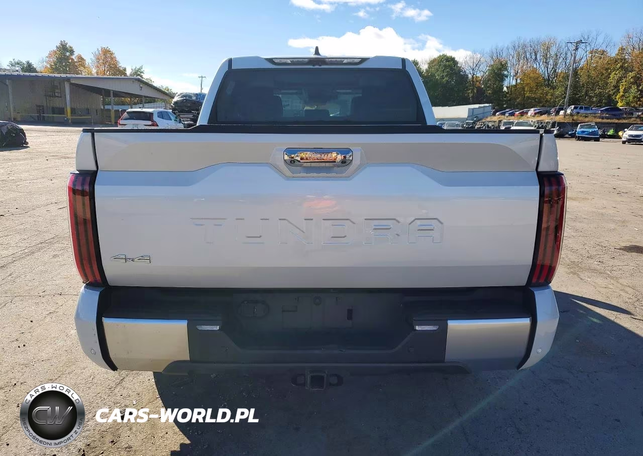 2024 Toyota Tundra Limited Hv VIN:5TFJC5DB5RX081263 - 6