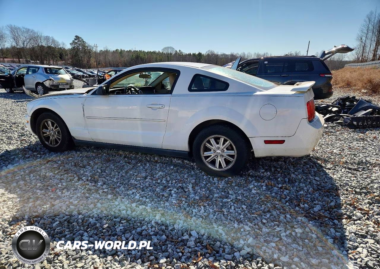 2006 Ford Mustang VIN:1ZVFT80N865210186 - 2