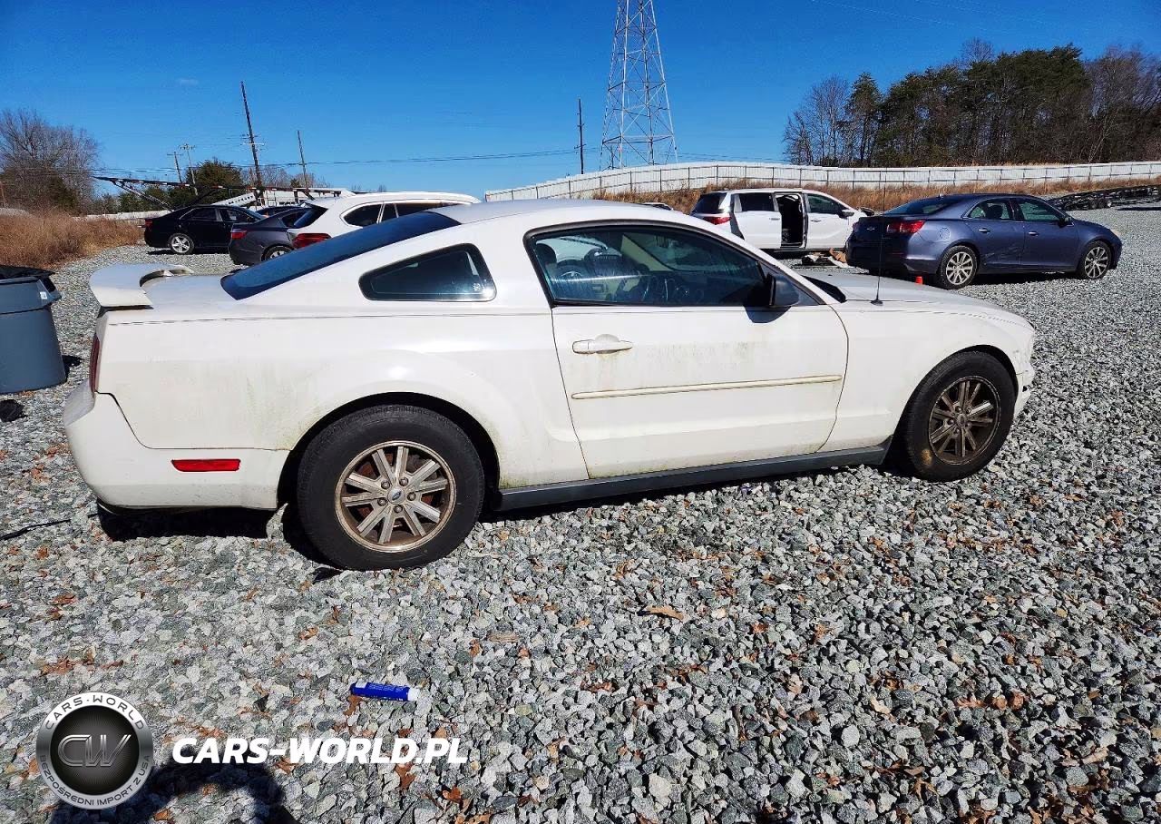 2006 Ford Mustang VIN:1ZVFT80N865210186 - 3