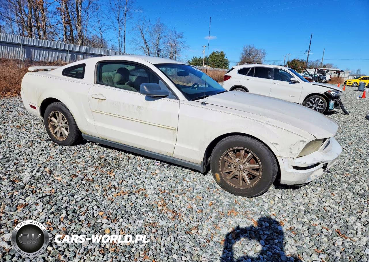 2006 Ford Mustang VIN:1ZVFT80N865210186 - 4