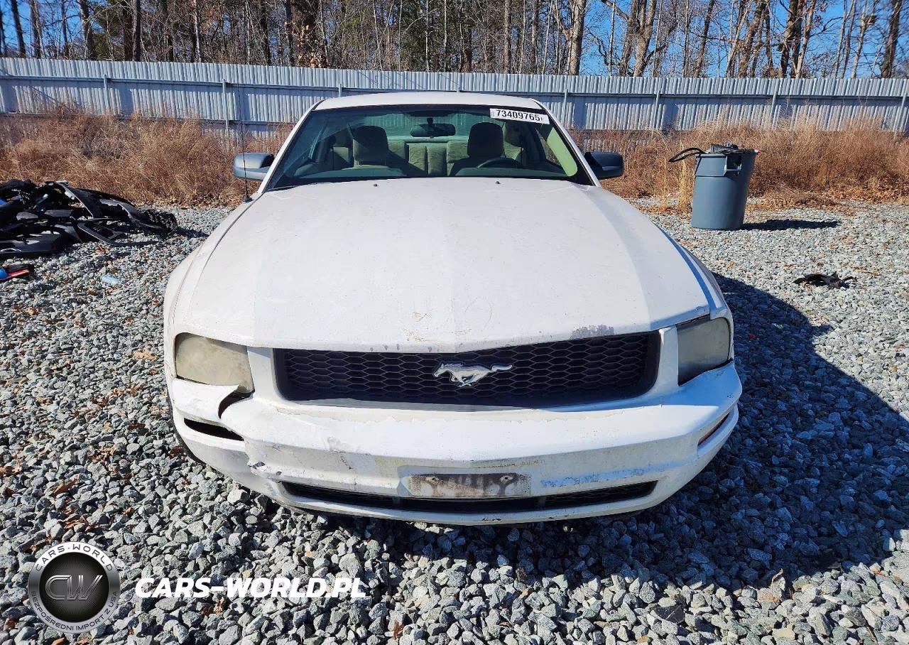 2006 Ford Mustang VIN:1ZVFT80N865210186 - 5