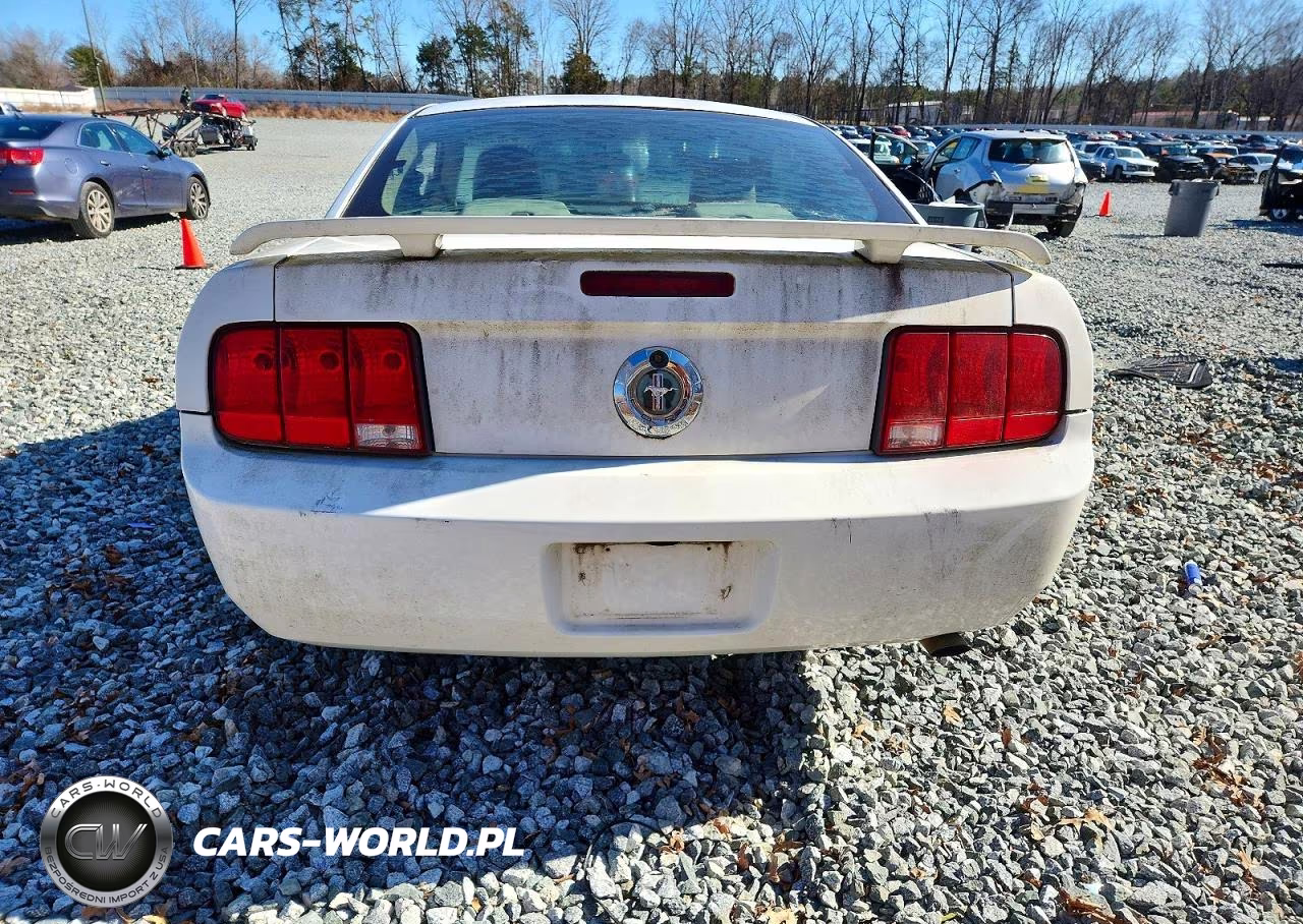 2006 Ford Mustang VIN:1ZVFT80N865210186 - 6