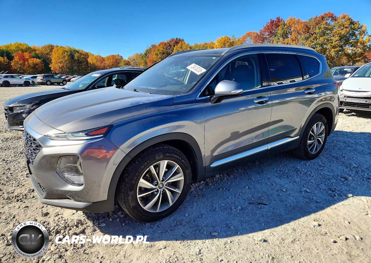 2020 Hyundai Santa Fe Sel VIN:5NMS3CAD9LH170834 - 1