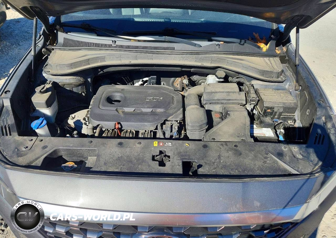 2020 Hyundai Santa Fe Sel VIN:5NMS3CAD9LH170834 - 11