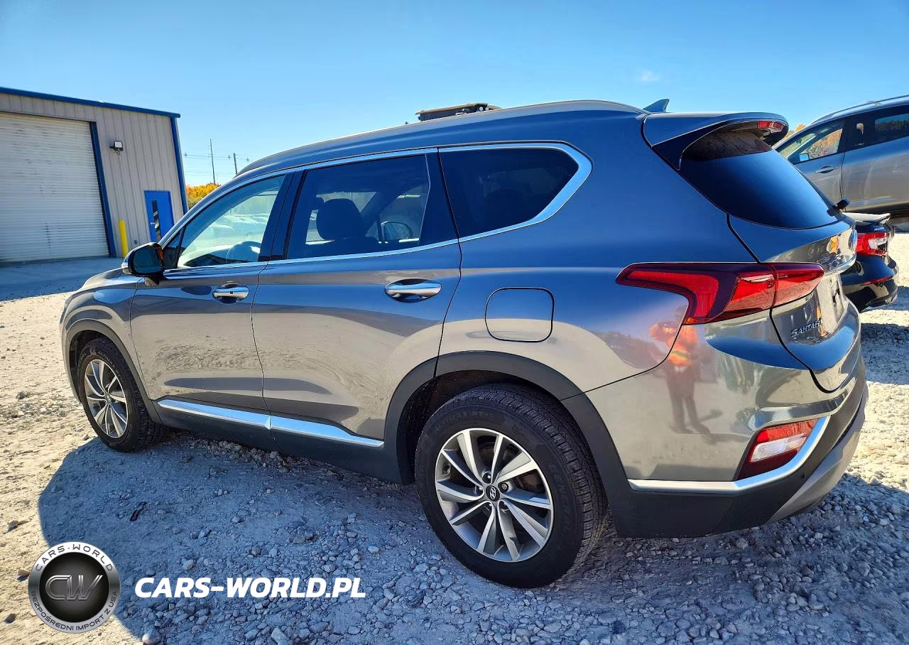 2020 Hyundai Santa Fe Sel VIN:5NMS3CAD9LH170834 - 2