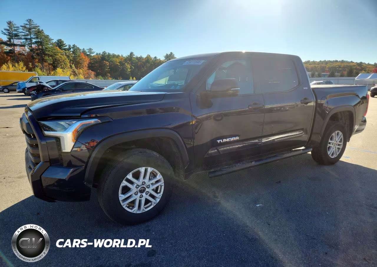 2023 Toyota Tundra Sr5 VIN:5TFLA5DB9PX098451 - 1