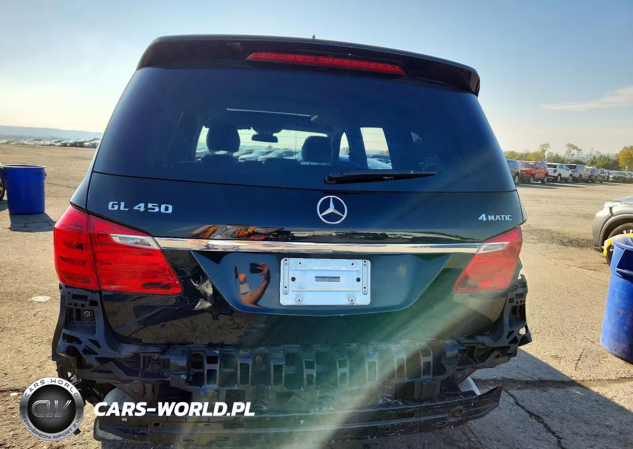 2013 Mercedes-Benz Gl 450 4Matic VIN:4JGDF7CE1DA154535 - 6