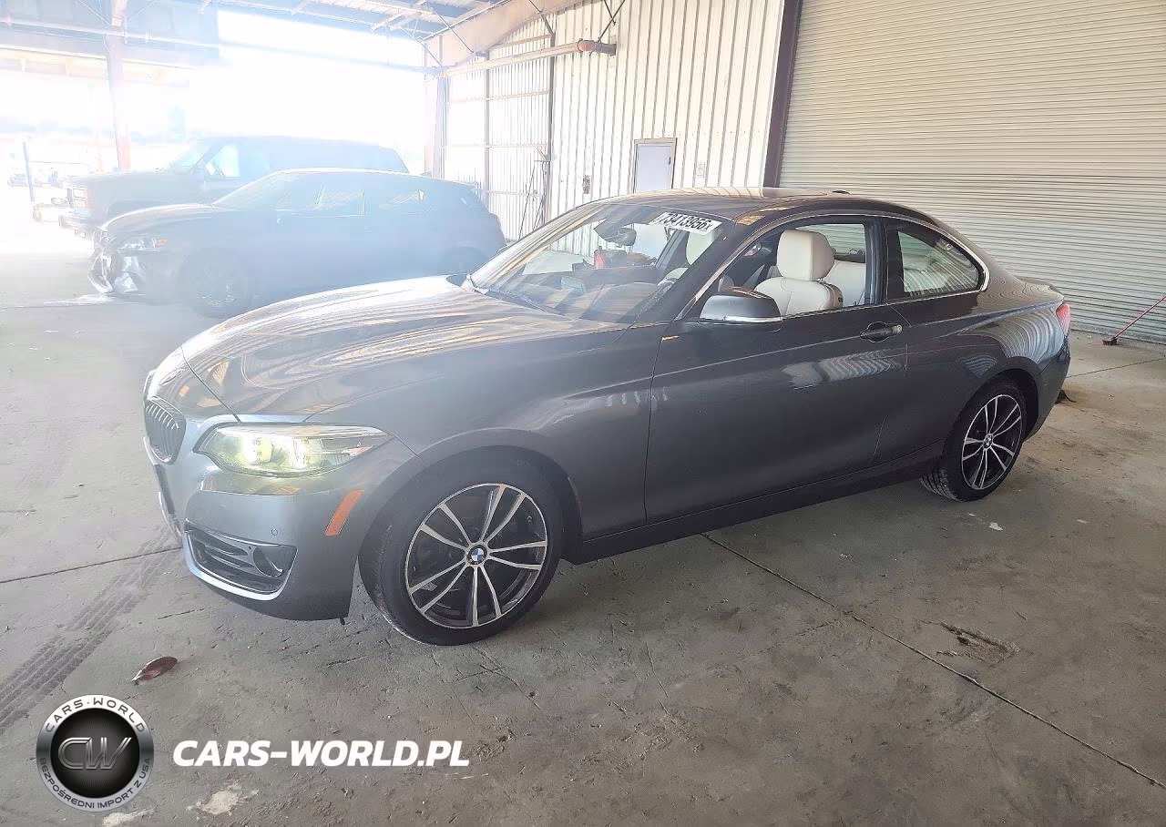 2019 BMW 230I VIN:WBA2J1C56KVD09982 - 1