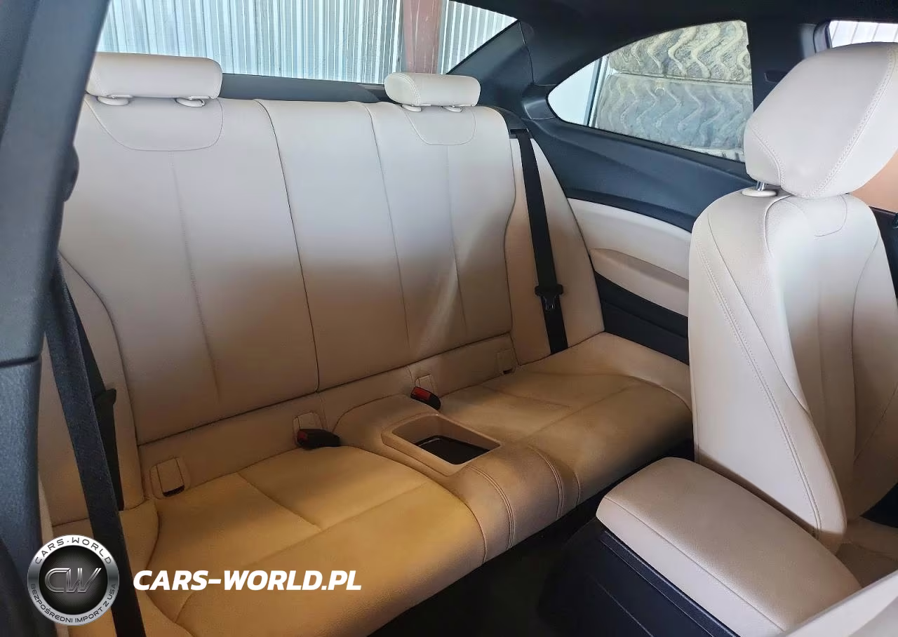 2019 BMW 230I VIN:WBA2J1C56KVD09982 - 10