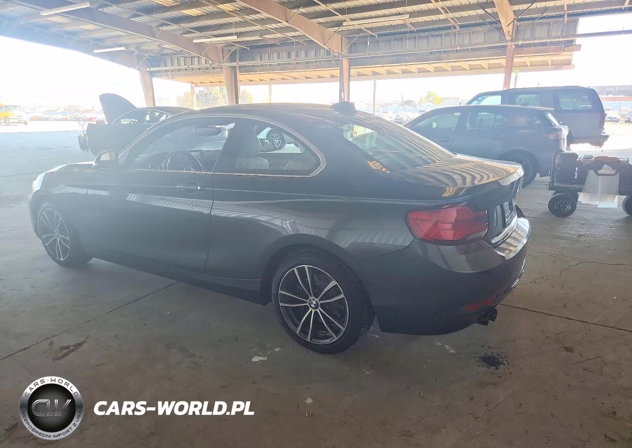 2019 BMW 230I VIN:WBA2J1C56KVD09982 - 2