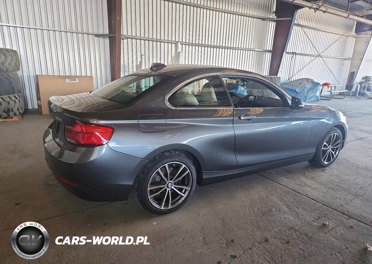 2019 BMW 230I VIN:WBA2J1C56KVD09982 - 3