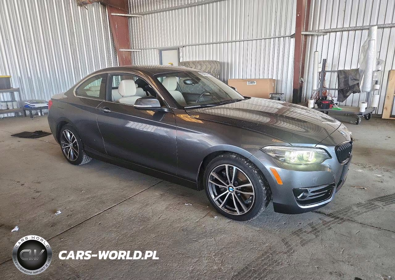 2019 BMW 230I VIN:WBA2J1C56KVD09982 - 4