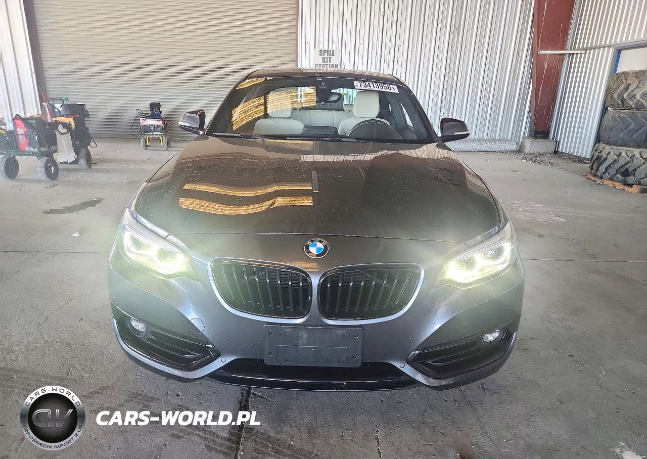 2019 BMW 230I VIN:WBA2J1C56KVD09982 - 5