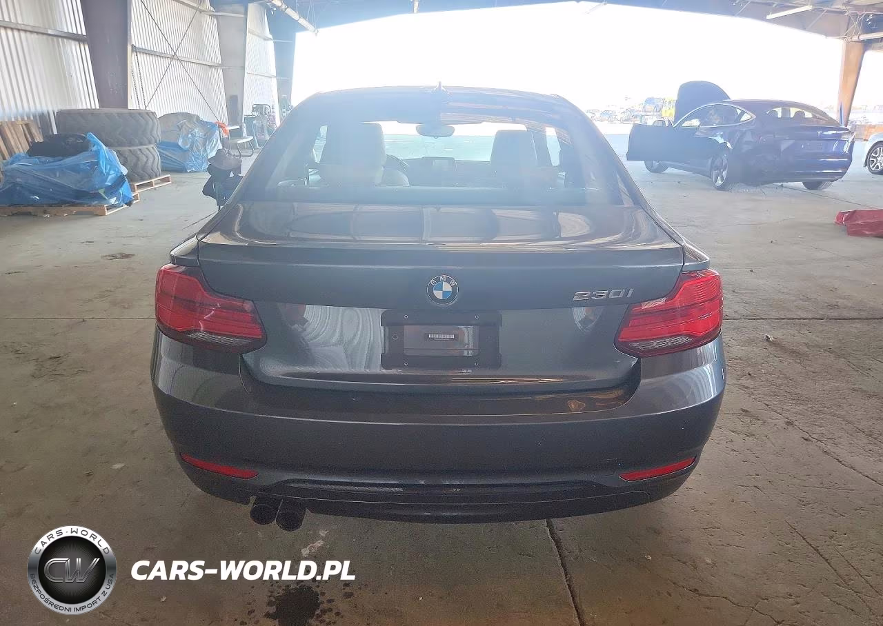 2019 BMW 230I VIN:WBA2J1C56KVD09982 - 6
