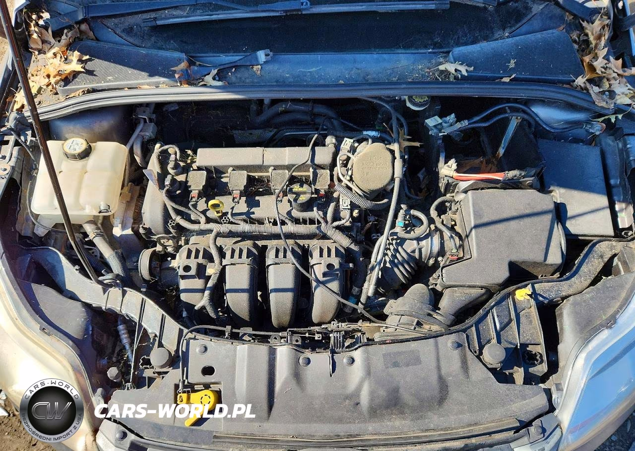 2013 Ford Focus Se VIN:1FADP3F25DL270200 - 11