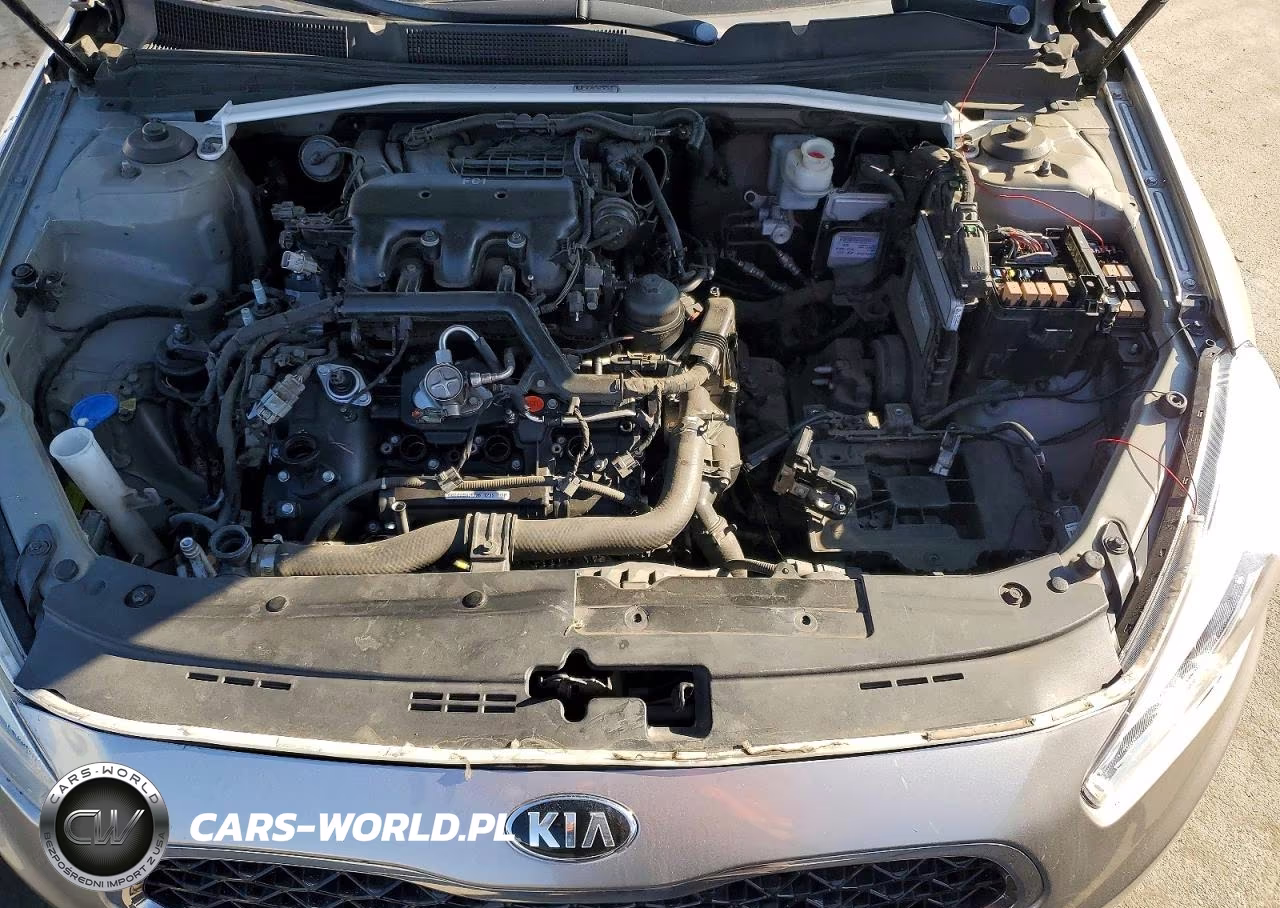 2014 Kia Cadenza Premium VIN:KNALN4D73E5126700 - 11