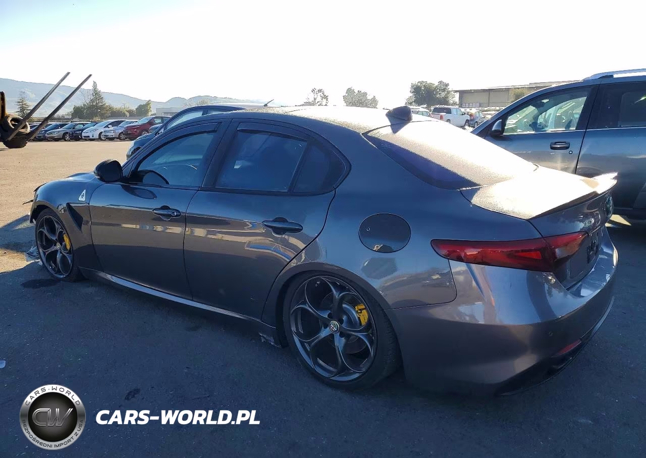 2019 Alfa Romeo Giulia Ti VIN:ZARFAMBN4K7621328 - 2