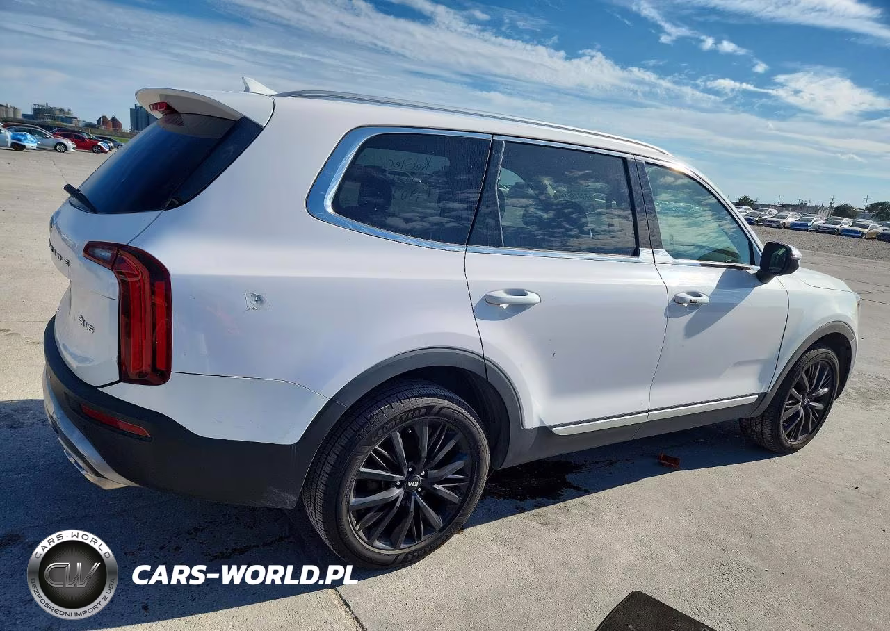 2021 Kia Telluride Ex VIN:5XYP34HC4MG152536 - 3