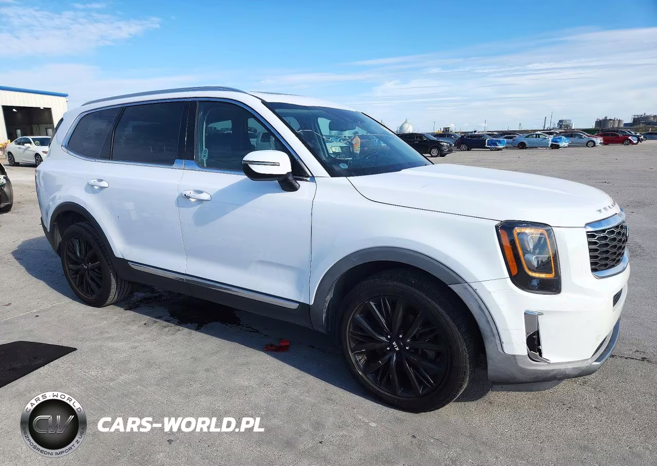 2021 Kia Telluride Ex VIN:5XYP34HC4MG152536 - 4