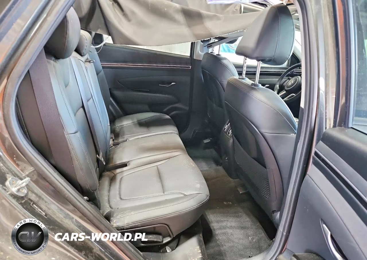 2023 Hyundai Tucson Limited VIN:5NMJECAE8PH176824 - 10