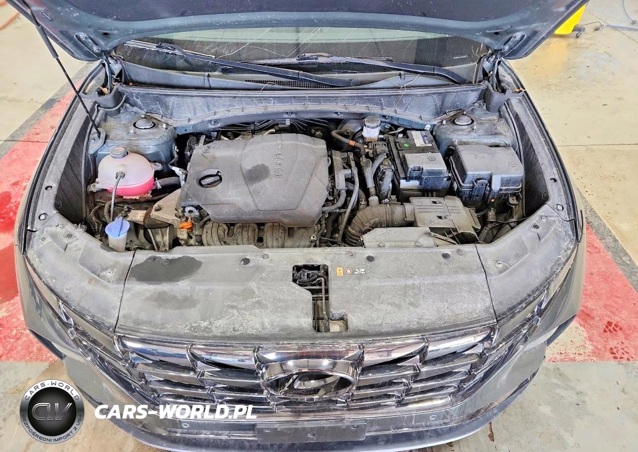 2023 Hyundai Tucson Limited VIN:5NMJECAE8PH176824 - 11