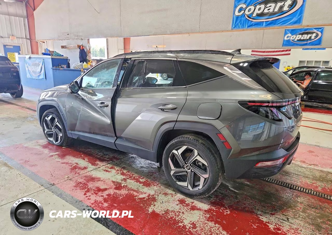 2023 Hyundai Tucson Limited VIN:5NMJECAE8PH176824 - 2