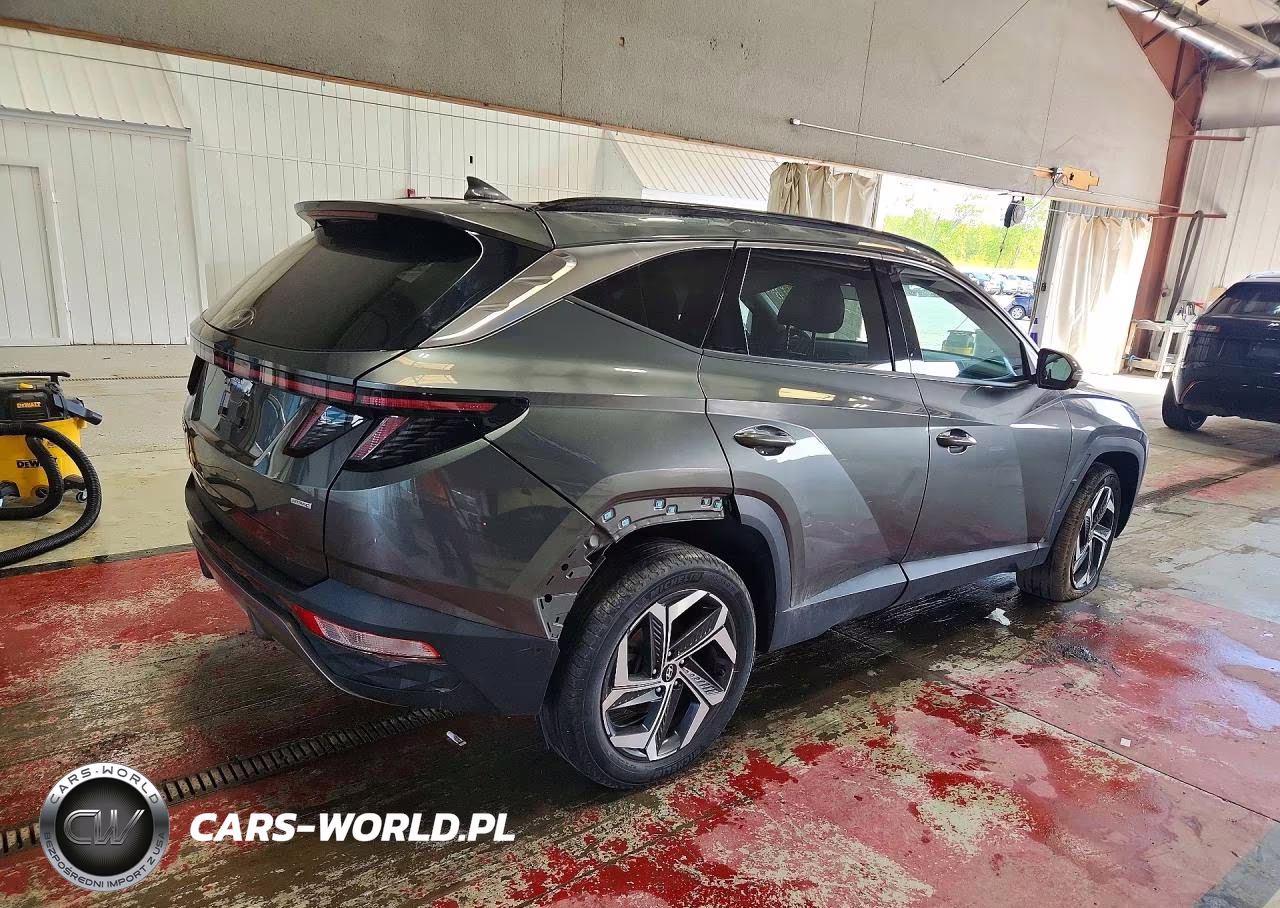 2023 Hyundai Tucson Limited VIN:5NMJECAE8PH176824 - 3