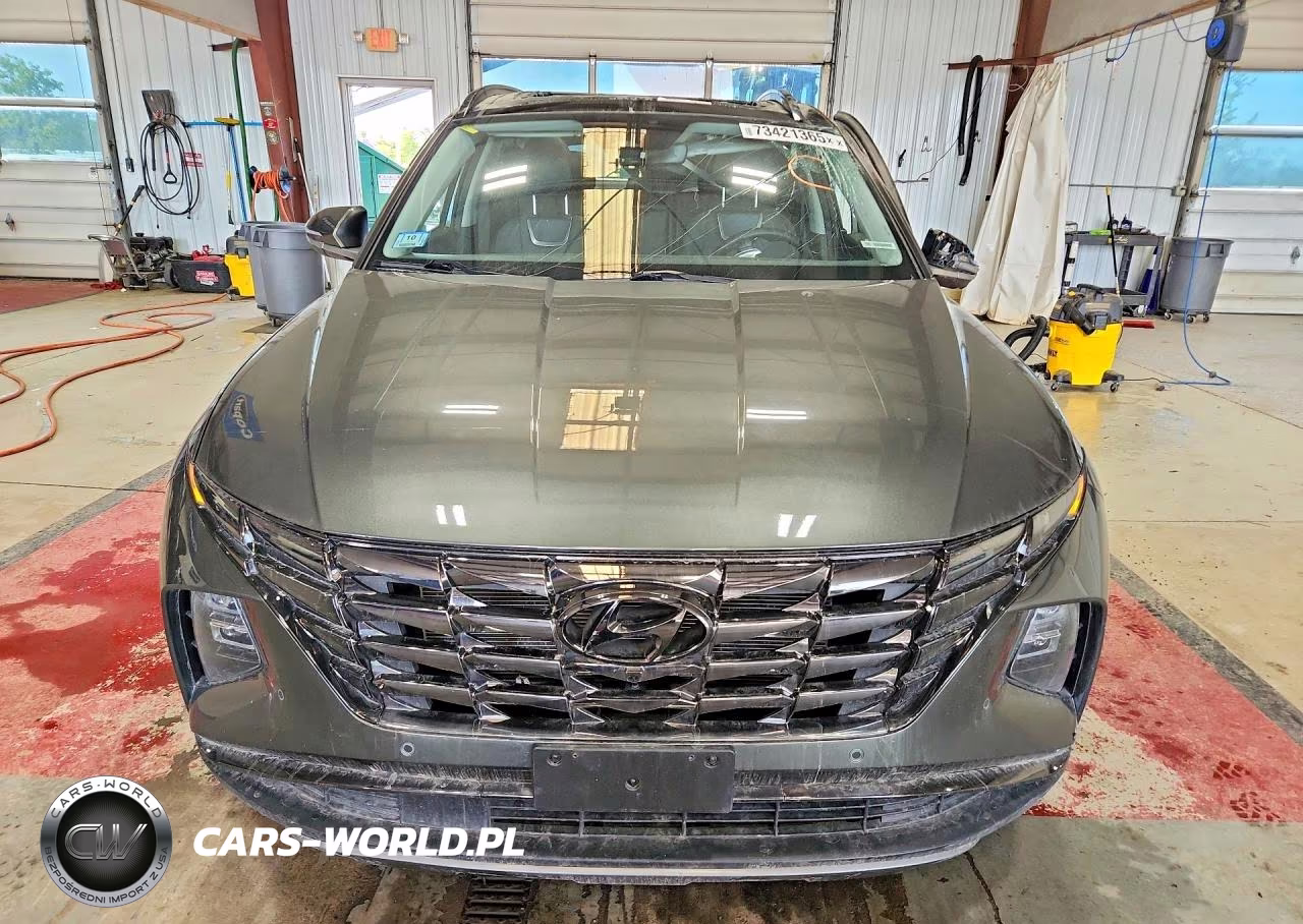 2023 Hyundai Tucson Limited VIN:5NMJECAE8PH176824 - 5