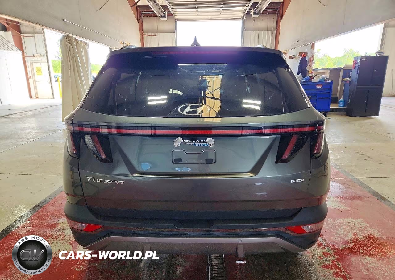 2023 Hyundai Tucson Limited VIN:5NMJECAE8PH176824 - 6