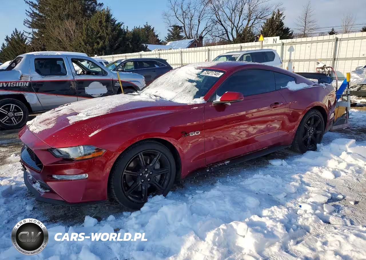 2019 Ford Mustang Gt
