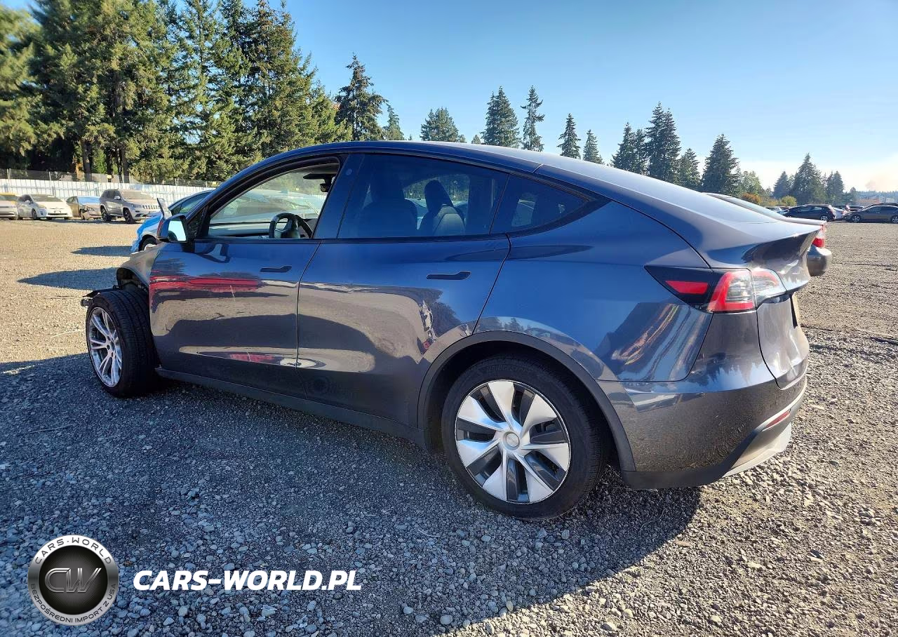2023 Tesla Model Y VIN:7SAYGAEE8PF687431 - 2