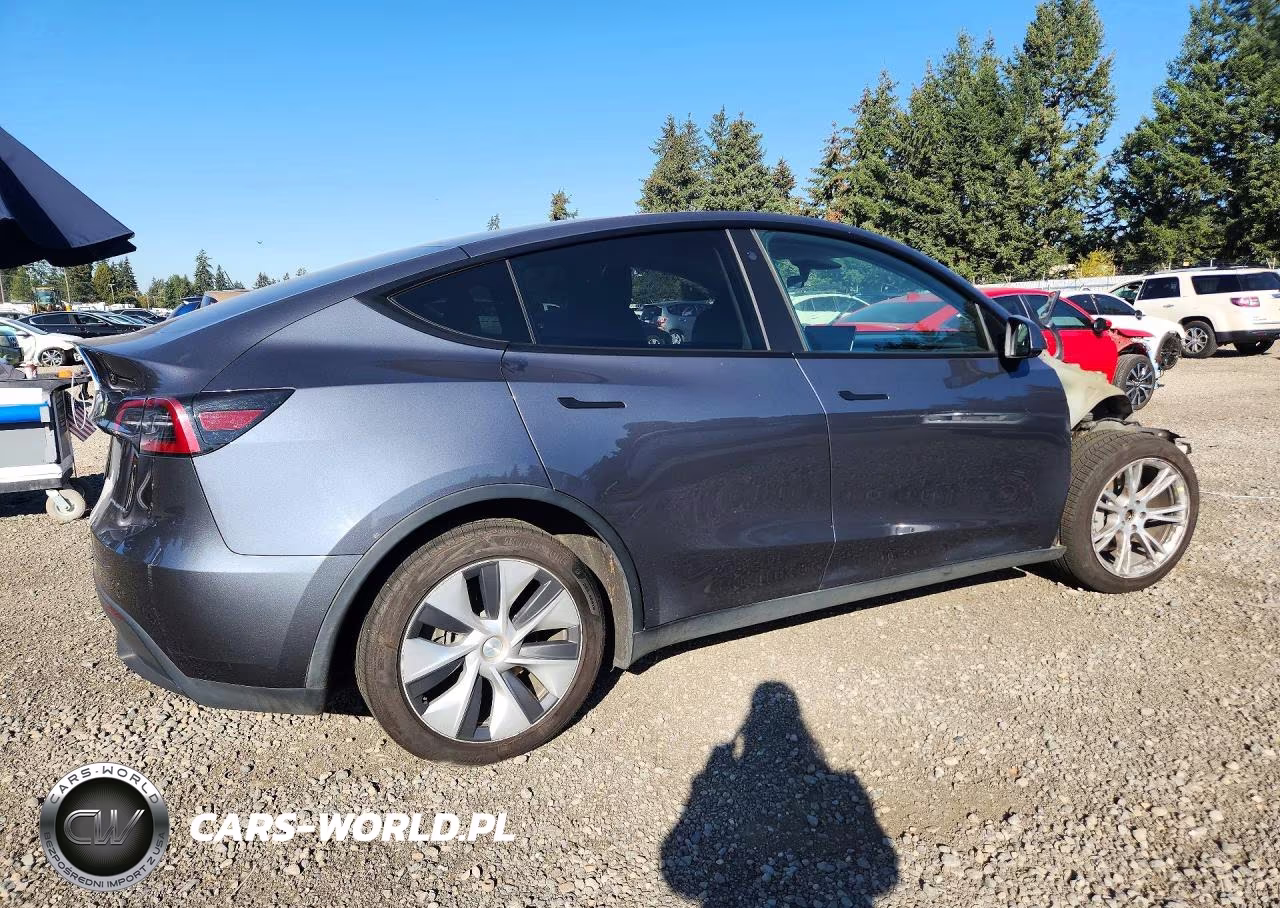 2023 Tesla Model Y VIN:7SAYGAEE8PF687431 - 3