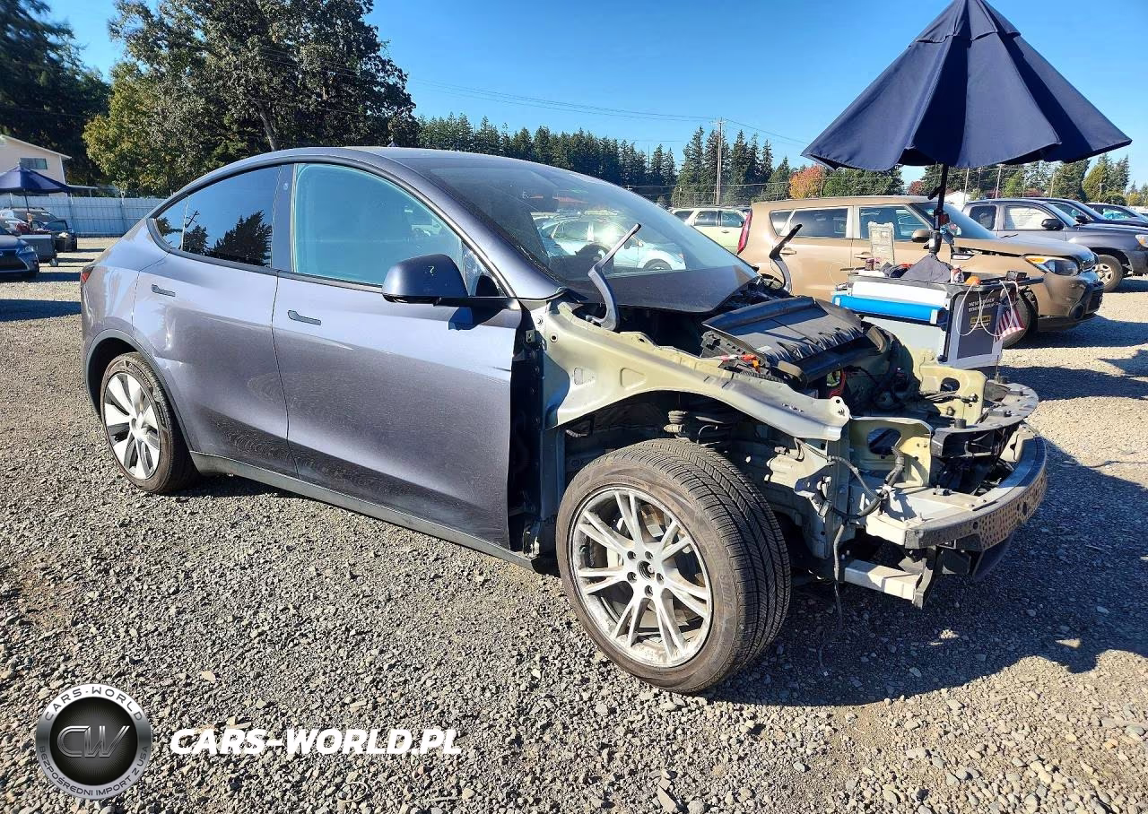 2023 Tesla Model Y VIN:7SAYGAEE8PF687431 - 4