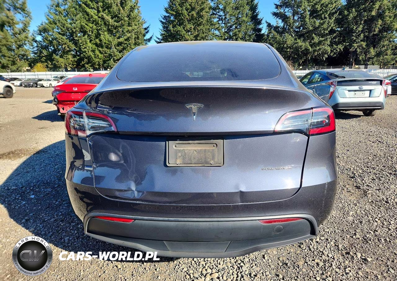 2023 Tesla Model Y VIN:7SAYGAEE8PF687431 - 6