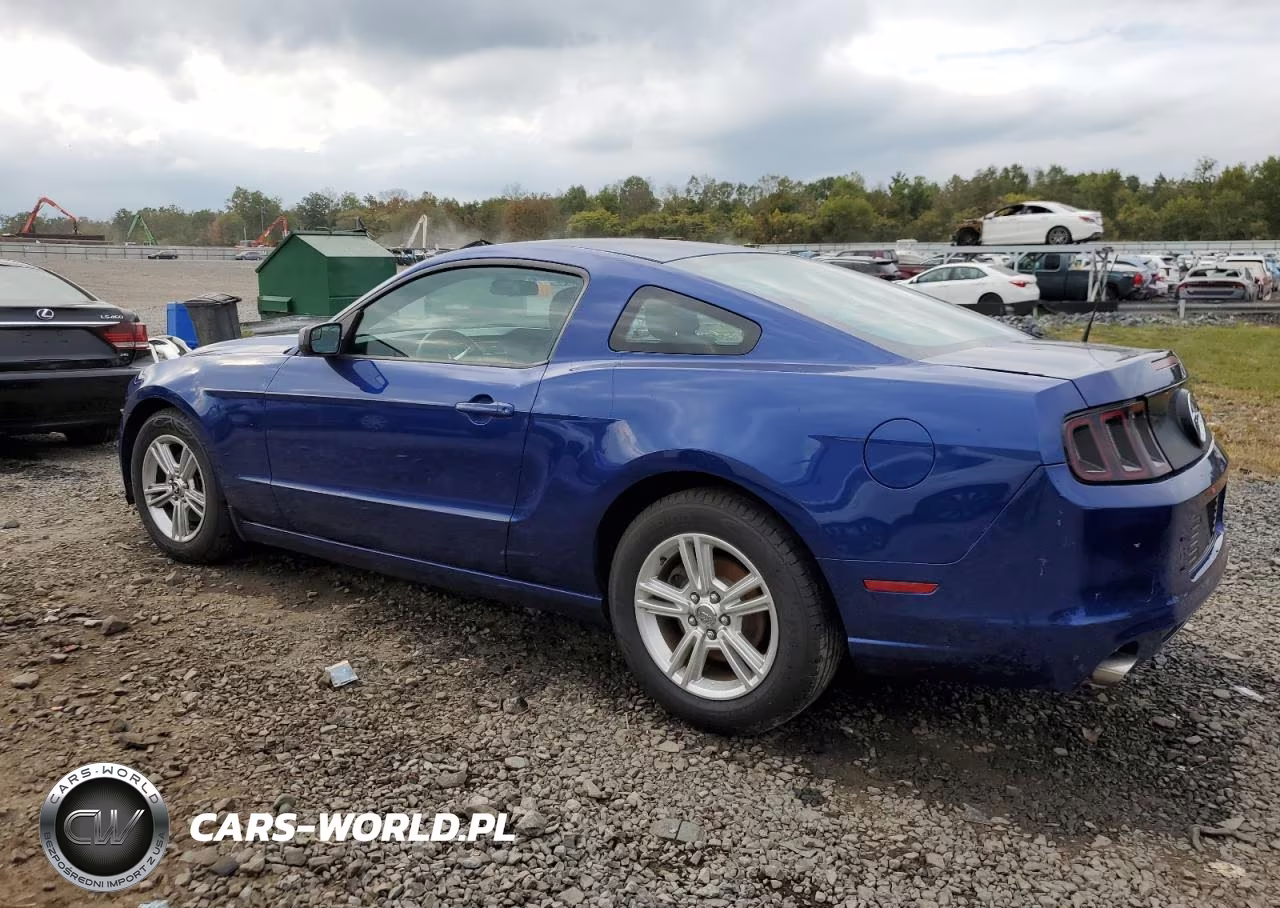2013 Ford Mustang VIN:1ZVBP8AM0D5275880 - 2