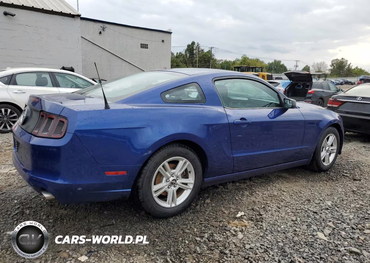 2013 Ford Mustang VIN:1ZVBP8AM0D5275880 - 3