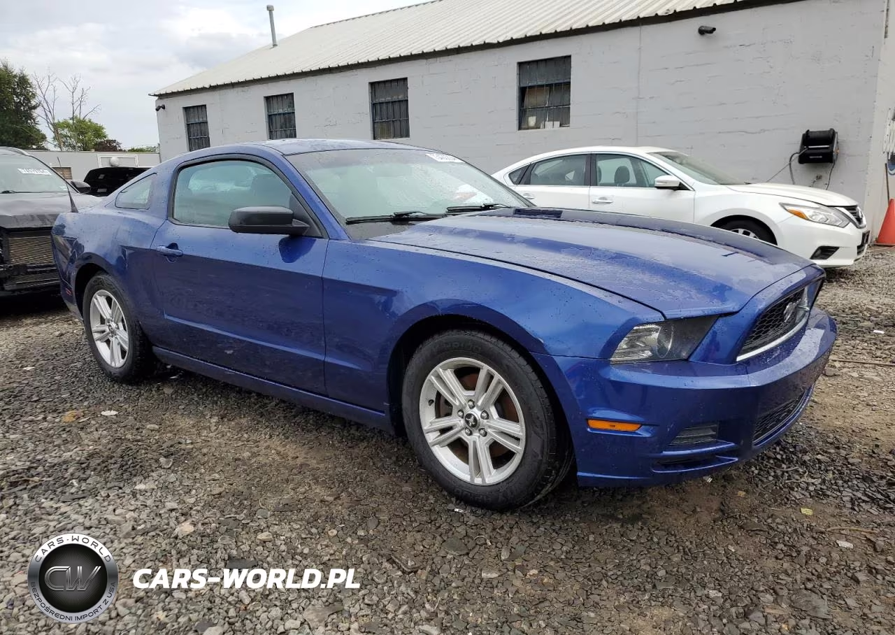 2013 Ford Mustang VIN:1ZVBP8AM0D5275880 - 4