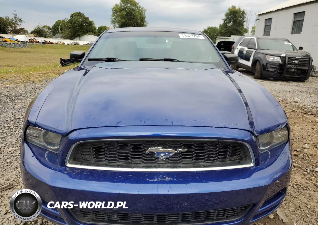 2013 Ford Mustang VIN:1ZVBP8AM0D5275880 - 5