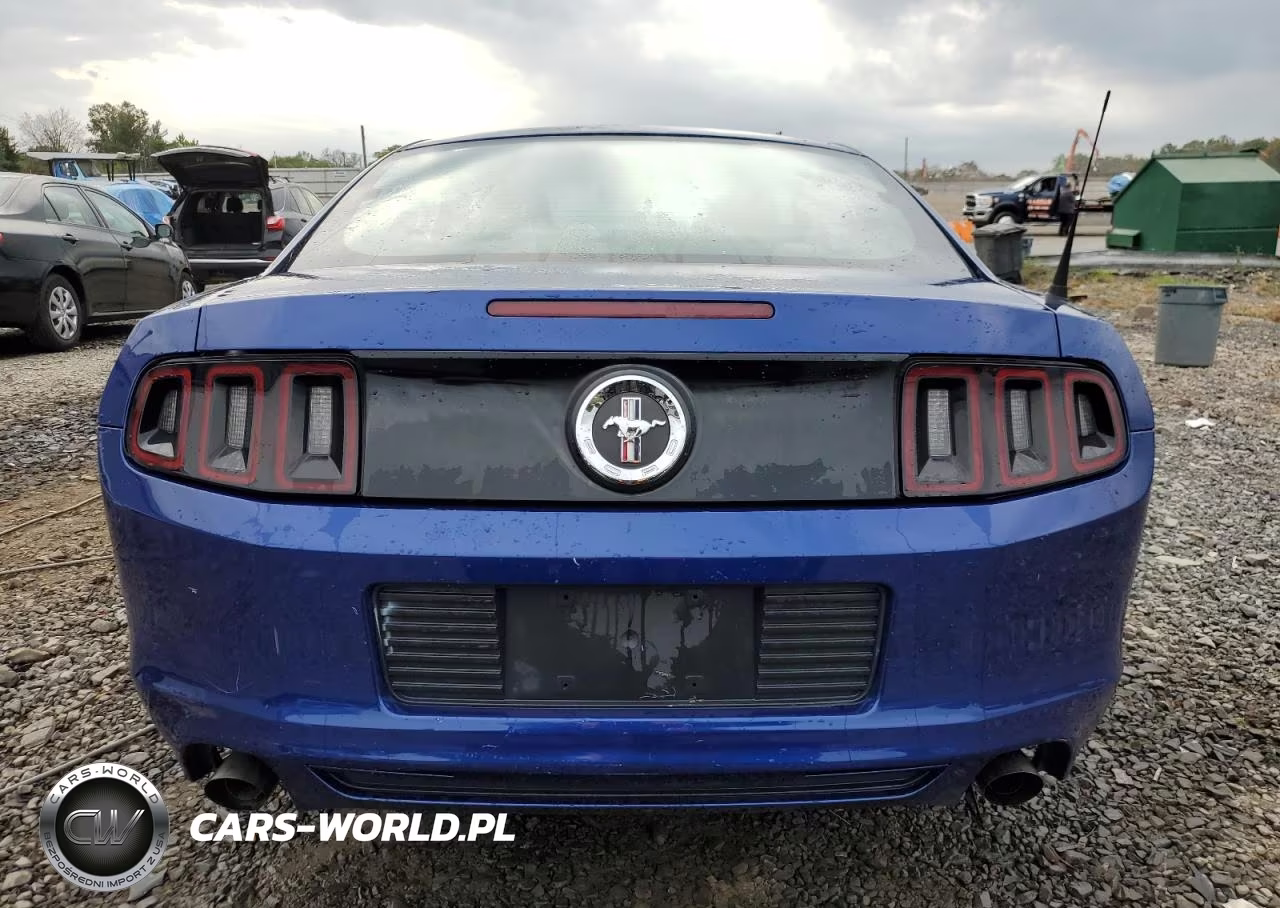 2013 Ford Mustang VIN:1ZVBP8AM0D5275880 - 6