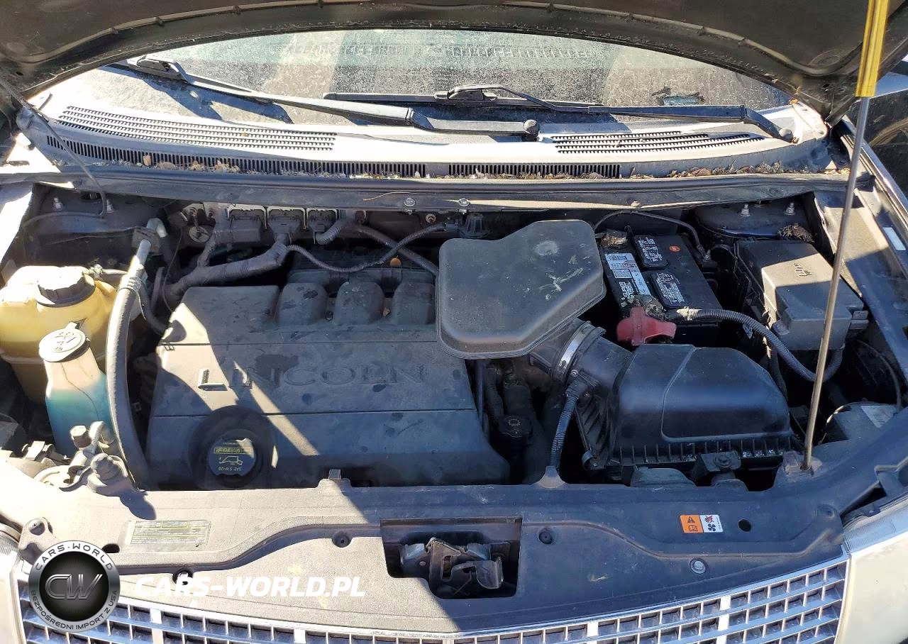 2009 Lincoln Mkx VIN:2LMDU88C69BJ11585 - 12