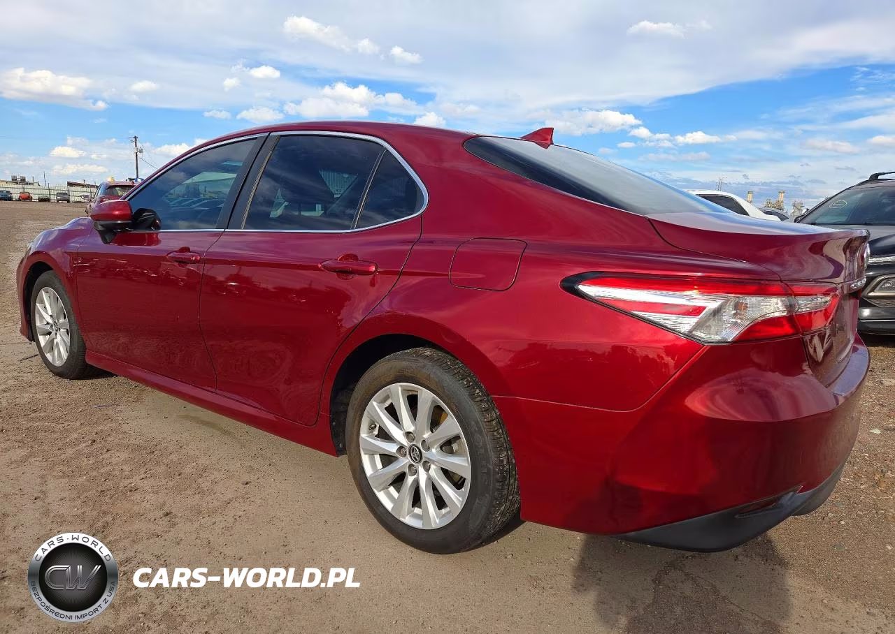 2019 Toyota Camry Le VIN:4T1B11HK2KU245018 - 2