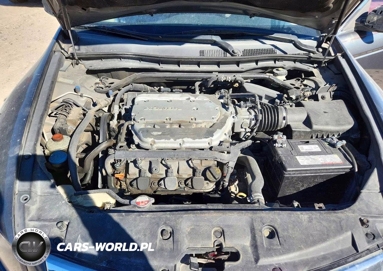 2012 Honda Accord Ex VIN:1HGCP3F7XCA009772 - 11