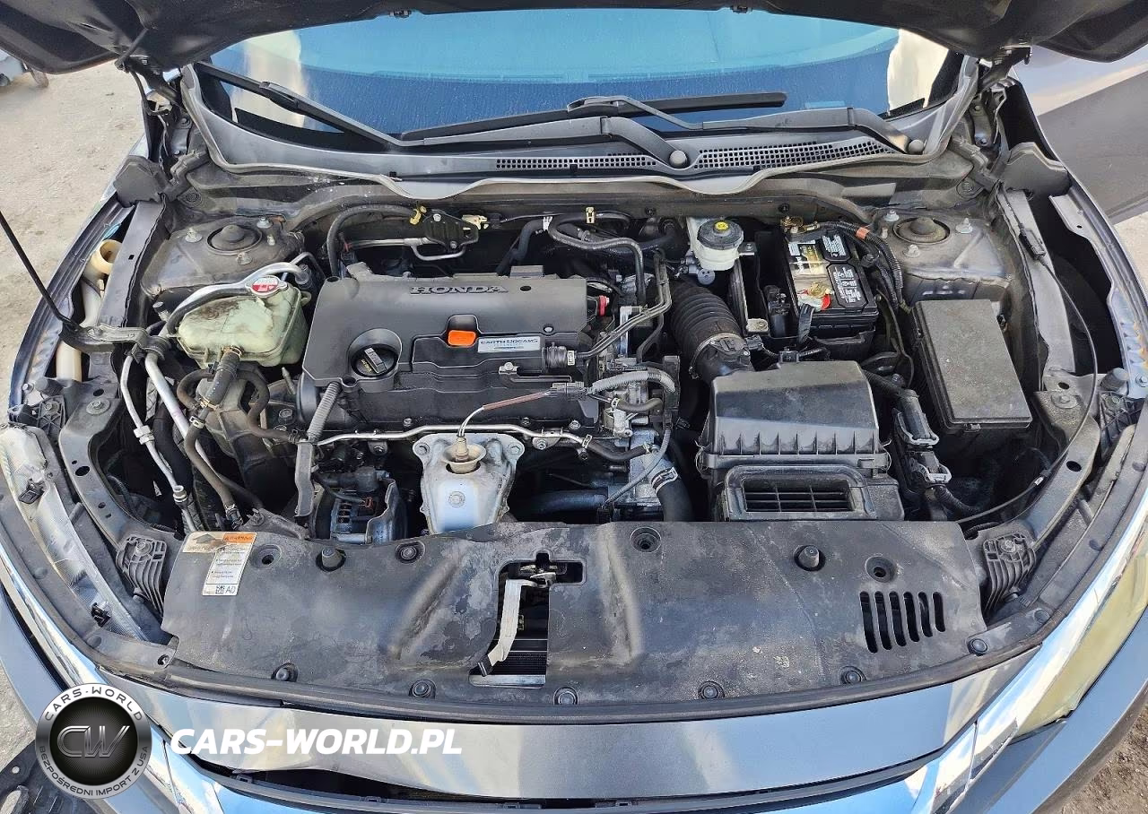 2016 Honda Civic Lx VIN:19XFC2F55GE081661 - 11