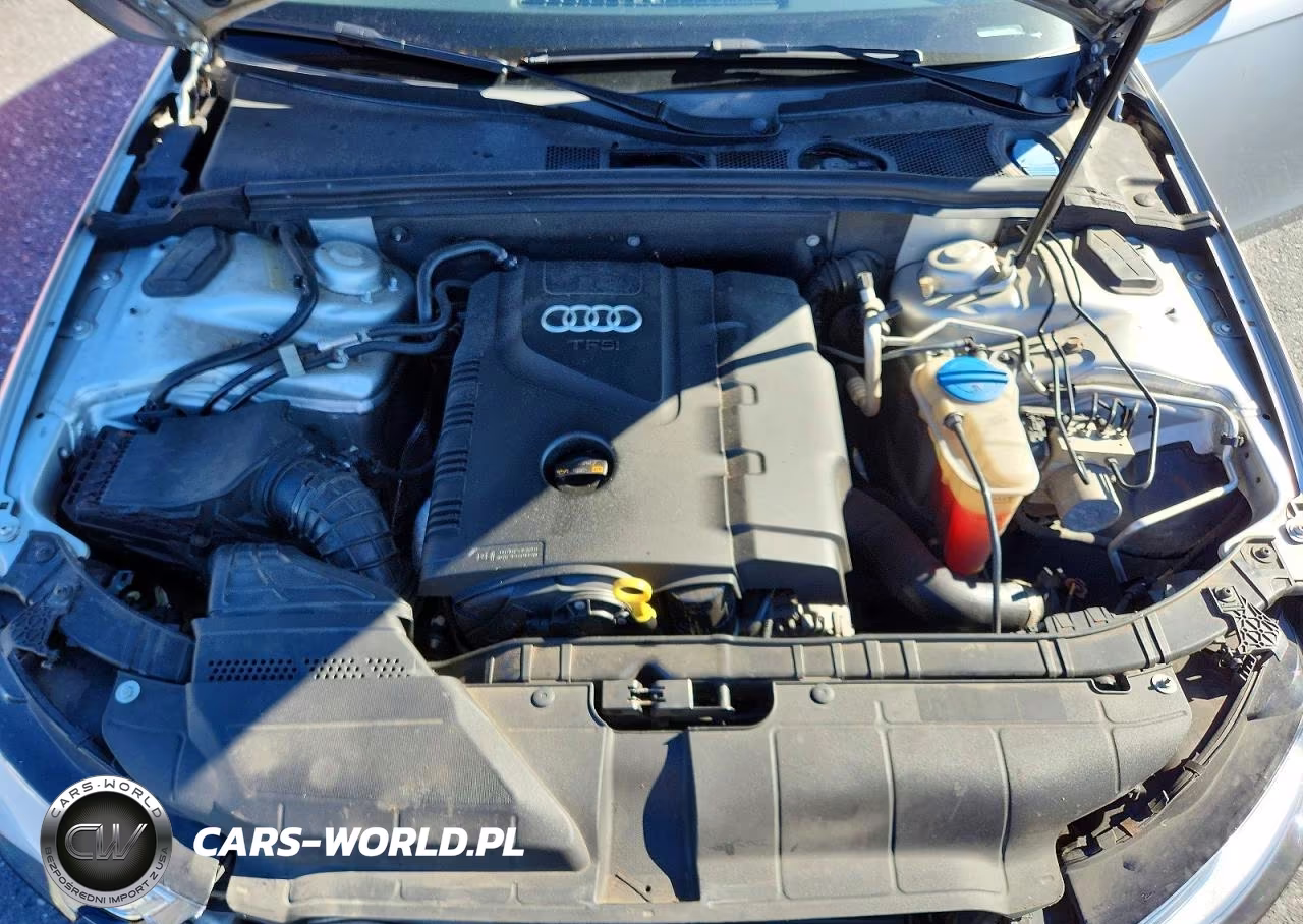 2013 Audi A4 Premium VIN:WAUBFAFL5DN026338 - 11