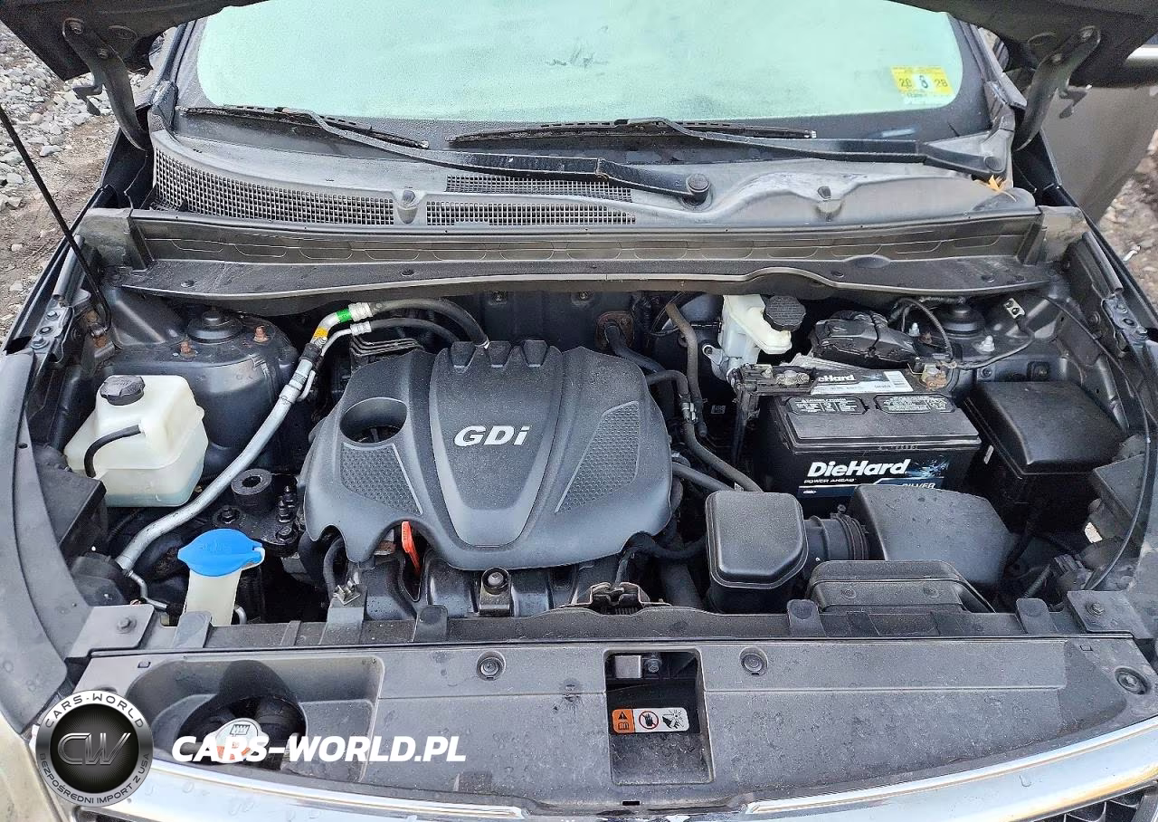 2014 Kia Sportage Ex VIN:KNDPCCAC3E7558309 - 12