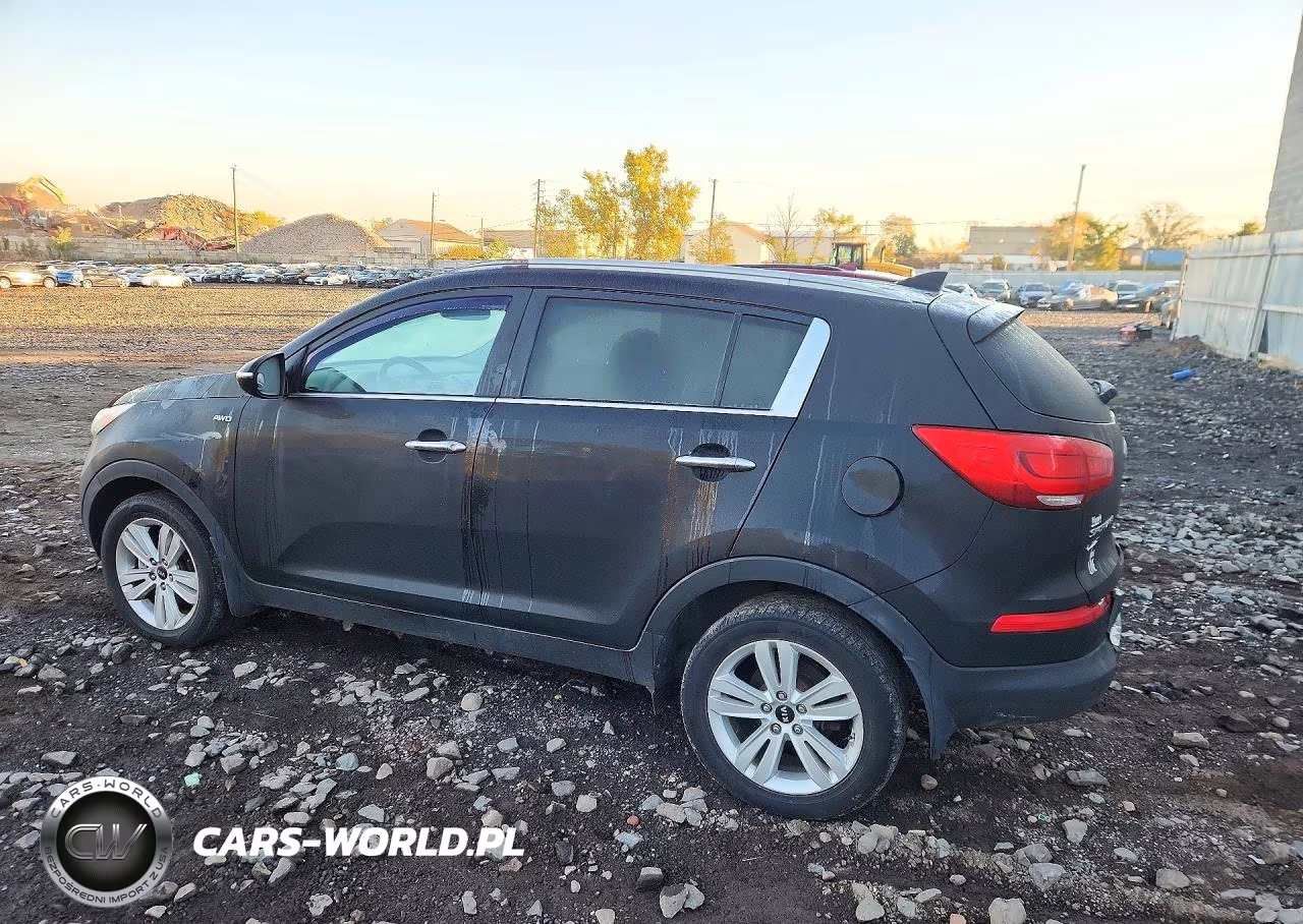 2014 Kia Sportage Ex VIN:KNDPCCAC3E7558309 - 2