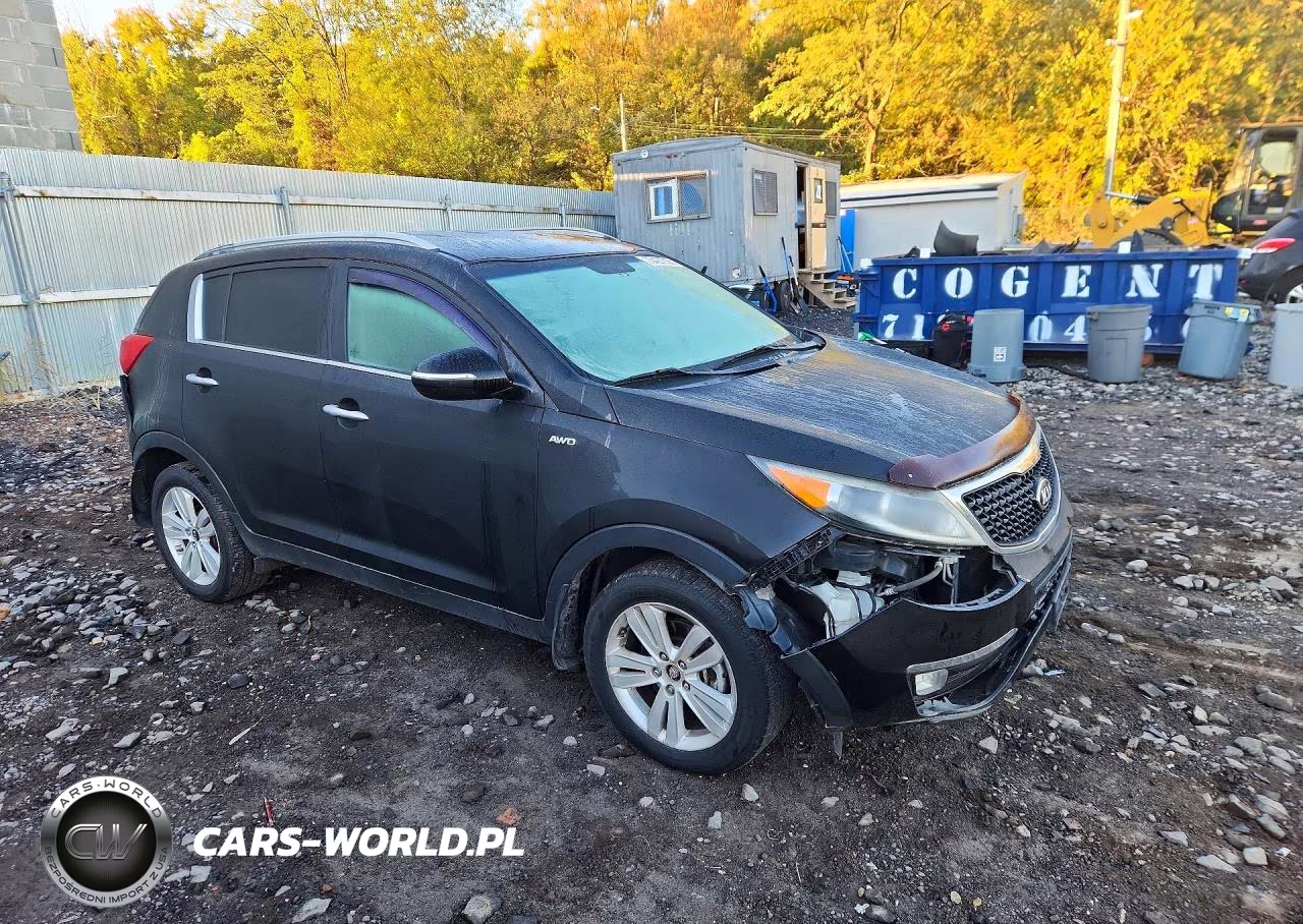 2014 Kia Sportage Ex VIN:KNDPCCAC3E7558309 - 4