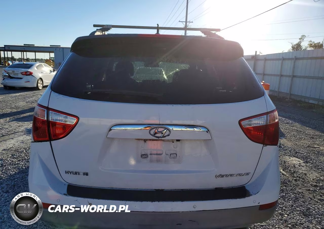 2010 Hyundai Veracruz Gls VIN:KM8NU4CC2AU118984 - 6